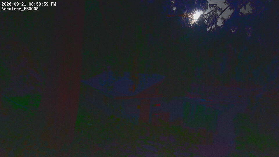 Cabin Camera webcam