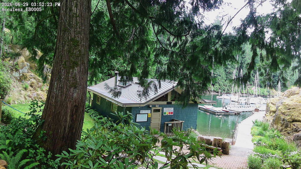 Cabin Camera webcam