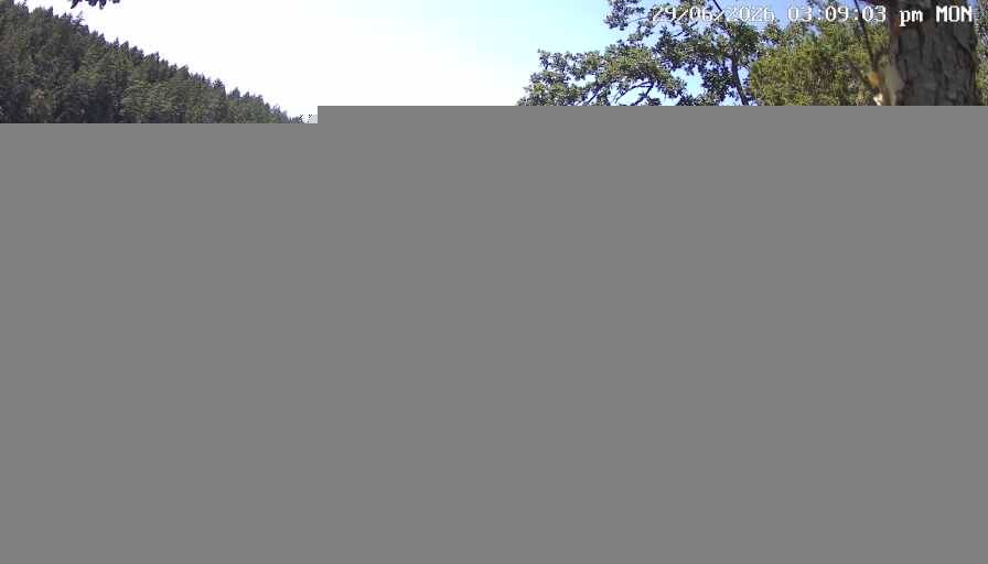 Kendrick Camera webcam
